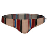 Men's Swimwear Contrast Striped Swim Briefs