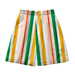 Men's Multicolor Stripe Leisure Swim Shorts