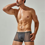Men's Sexy Low-rise Mesh Trunks
