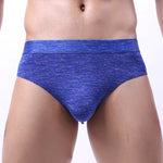 2 Pack Men's Silky Touch Health Briefs