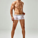 Men's Sexy Low-rise Mesh Trunks