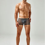Men's Sexy Low-rise Mesh Trunks