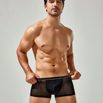Men's Sexy Low-rise Mesh Trunks