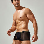 Men's Sexy Low-rise Mesh Trunks