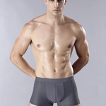4 Pack Mesh Breathable Ice Silk Underwear Boxer