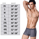 4 Pack Mesh Breathable Ice Silk Underwear Boxer