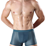4 Pack Mesh Breathable Ice Silk Underwear Boxer