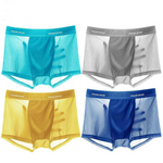 4 Pack Mesh Breathable Ice Silk Underwear Boxer