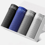 4 Pack Mesh Breathable Ice Silk Underwear Boxer
