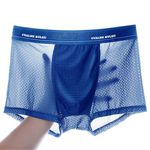 4 Pack Mesh Breathable Ice Silk Underwear Boxer