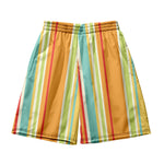 Men's Multicolor Stripe Leisure Swim Shorts