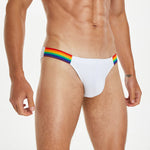 Men's Sexy Rainbow Pride Mesh Bikini