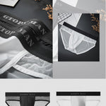 2 Pack Men's Ice Silk Semi-Transparent Mesh U-Convex Pouch Breathable Sexy Sport Briefs