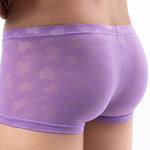 4 Pack Men’s Sexy Heart Mesh Trunks