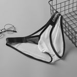 2 Pack Men's U-Pouch Sheer Mesh Briefs