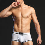 Men's Breathable Mesh Line Trunks with Fly