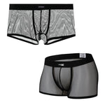 Men's Sexy Transparent Mesh Trunks