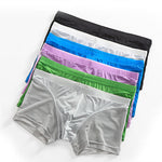 Sexy Panelled Mesh Trunks For Men