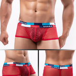4-pack Men's Low-rise See-through Micro-mesh Pouch Shiny U-convex Wide-edge Boxer Briefs