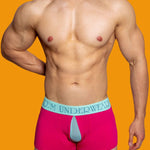 2 Pack Men's Mesh Transparent Open-Cut Cotton Mesh Trunks