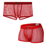 Men's Sexy Transparent Mesh Trunks
