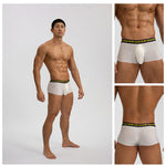 3 Pack Men's Seamless Ice Silk U-Pouch Low Waist Sexy Breathable Trunks