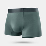 2 Pack Men's Anti-Bacterial Modal Trunks