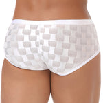 2 Pack Men's Sheer Grid Mesh Breathable Large U-Pouch Trunks
