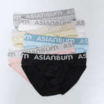 2 Pack Men's Ice Silk Mesh Breathable Simple & Sexy Design Comfort Briefs