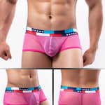 4-pack Men's Low-rise See-through Micro-mesh Pouch Shiny U-convex Wide-edge Boxer Briefs