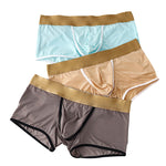 4 Pack Men's Ice Silk Breathable Separate Ultra-Thin Trunks