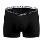 2 Pack Men's Sexy V-shape Waistband Mesh Trunks