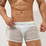 Men’s Sexy See Through Mesh Boxer Shorts