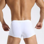 2 Pack Men's Premium Ice Silk U-Pouch Design Soft & Smooth Trunks