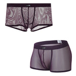 Men's Sexy Transparent Mesh Trunks