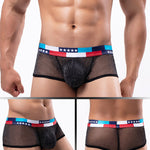 4-pack Men's Low-rise See-through Micro-mesh Pouch Shiny U-convex Wide-edge Boxer Briefs