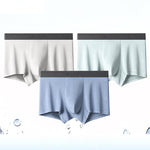 2 Pack Men's Anti-Bacterial Modal Trunks