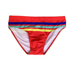Men's 4-Way Stretch Perfect Fit Colorful Striped Swim Briefs