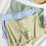 4 Pack Men's Antibacterial Cotton Gusset Striped Lightweight Trunks
