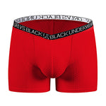 2 Pack Men's Sexy V-shape Waistband Mesh Trunks