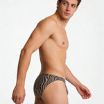 4 Pack Men's Quick-Dry & Slim-Fit Sheer Mesh Print Briefs