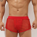 Men’s Sexy See Through Mesh Boxer Shorts