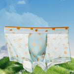 3 Pack Men’s Sexy Printed Mesh Trunks