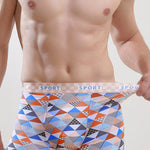 Men's Ice Silk Sexy Breathable Printed Boxers Briefs