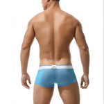 Men's Sexy Transparent Striped Trunks