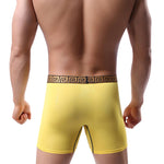 2 Pack Men's Sexy Sports Ice Silk Boxer Briefs