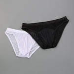 2 Pack Men's Seductive Mesh Sheer Briefs