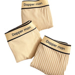 3 Pack Men's Premium Breathable Cotton Striped Design Seamless Comfort Boxers Briefs