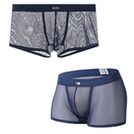 Men's Sexy Transparent Mesh Trunks