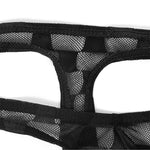 2 Pack Men's U-Pouch Large Pouch Low Rise Sheer Breathable Plaid Thongs